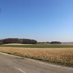 بيت للعطل Homes In With A Picturesque Garden