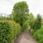 Homes In With A Picturesque Garden بيت للعطل *