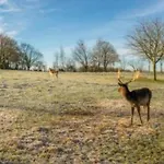 بيت للعطل Homes In With A Picturesque Garden Ubachsberg