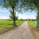 Homes In With A Picturesque Garden *