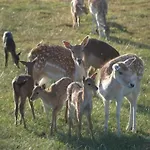 بيت للعطل Homes In With A Picturesque Garden