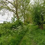 بيت للعطل Homes In With A Picturesque Garden *