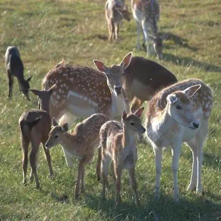 Homes In With A Picturesque Garden Hébergement de vacances