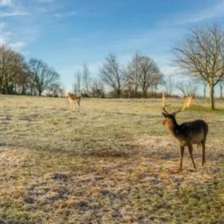 Homes In With A Picturesque Garden Hébergement de vacances *