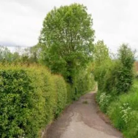 Homes In With A Picturesque Garden بيت للعطل *