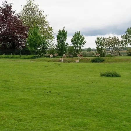 Homes In With A Picturesque Garden Hébergement de vacances Ubachsberg