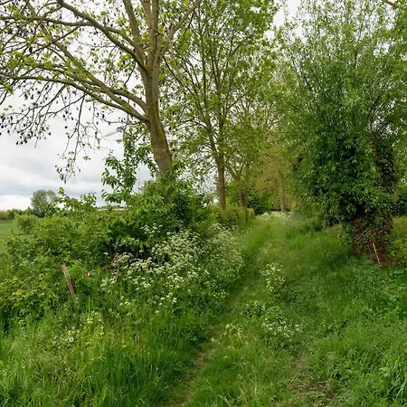 Сasa de vacaciones Homes In With A Picturesque Garden *