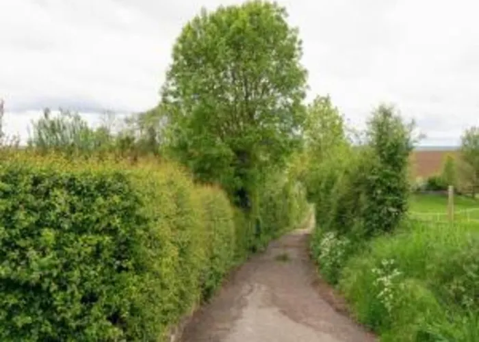 Homes In With A Picturesque Garden بيت للعطل *