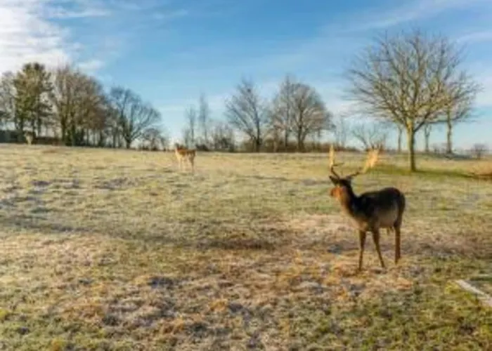Casa de Férias Homes In With A Picturesque Garden Ubachsberg