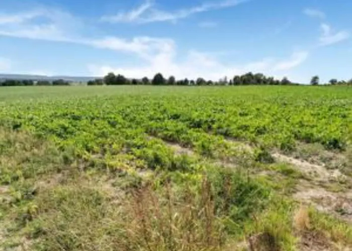 Casa de Férias Homes In With A Picturesque Garden