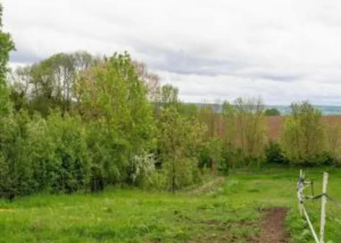 Homes In With A Picturesque Garden * Ubachsberg