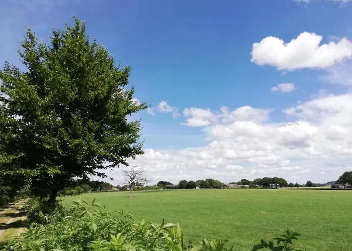 Casa de Férias Homes In With A Picturesque Garden