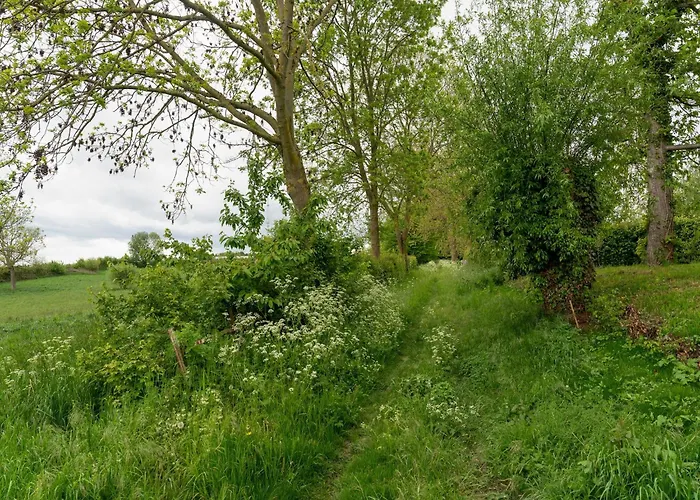 بيت للعطل Homes In With A Picturesque Garden *