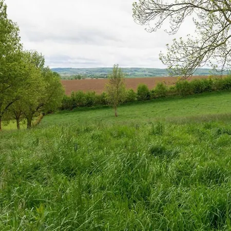 Homes In With A Picturesque Garden Feriehus