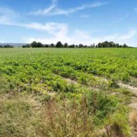 Feriehus Homes In With A Picturesque Garden